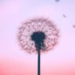 Meet your Posher, Leanne